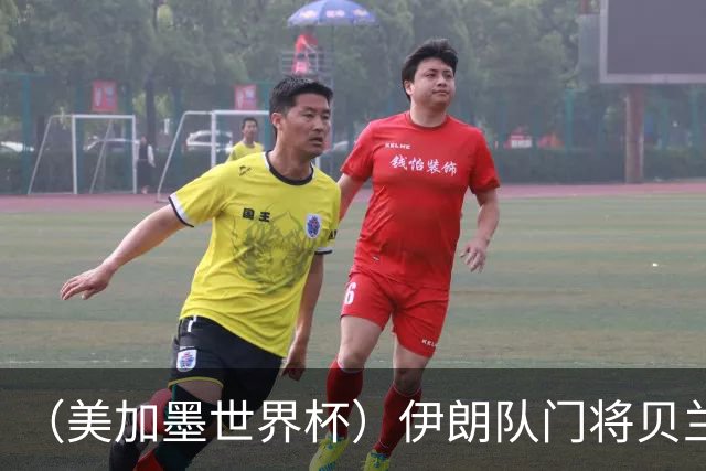 （美加墨世界杯）伊朗队门将贝兰万德的“满分”